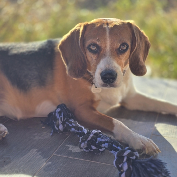 Meet your Posher, Jay - Picture 3 of 4